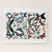 Puzzle Illustration des papillons Vintages (Horizontal)