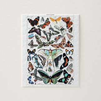Puzzle Illustration des papillons vintages