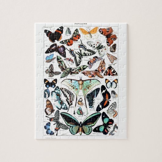 Puzzle Illustration des papillons vintages (Vertical)
