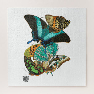 Puzzle Illustration des papillons Vintages E.A. Séguy