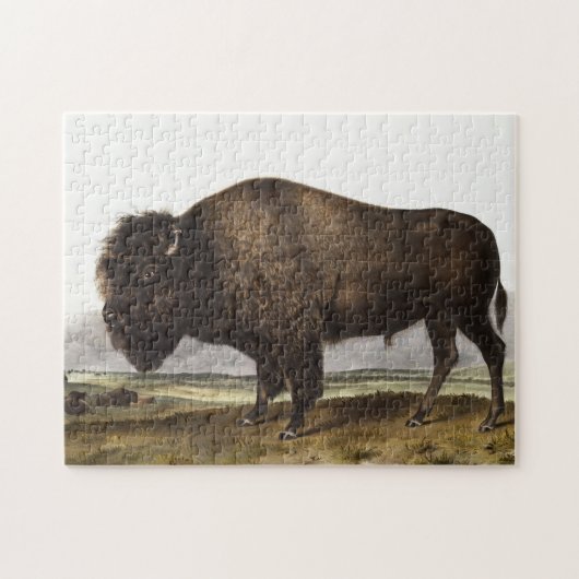 Puzzle Illustration du bison américain (Bos Americanus) (Horizontal)