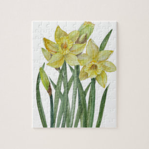 Puzzle Illustration du portrait des jonquilles d'aquarell