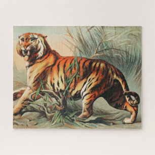 Puzzle Illustration du tigre du Bengale vintage Art Antiq