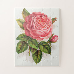 Puzzle Illustration Florale Rose Rose Antique Cottagecore