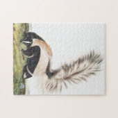 Puzzle Illustration LargeTail Skunk Mephitis macroura (Horizontal)