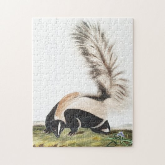 Puzzle Illustration LargeTail Skunk Mephitis macroura (Vertical)