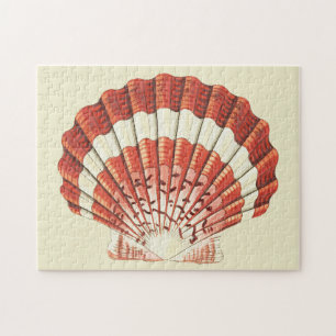 Puzzle Illustration Nautique Vintage Coquille Saint-Jacqu
