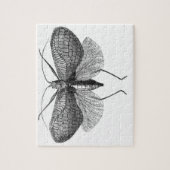 Puzzle illustration scientifique de mite (Vertical)