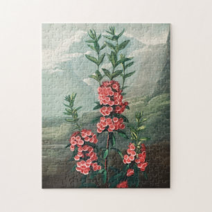 Puzzle Illustration vintage