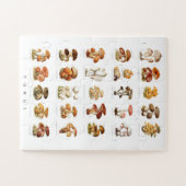Puzzle Illustration vintage champignons comestibles non c (Horizontal)