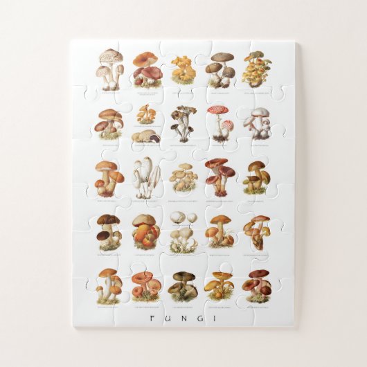 Puzzle Illustration vintage champignons comestibles non c (Vertical)