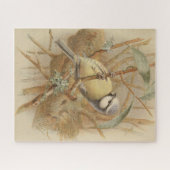 Puzzle Illustration vintage de Bluetit (Horizontal)