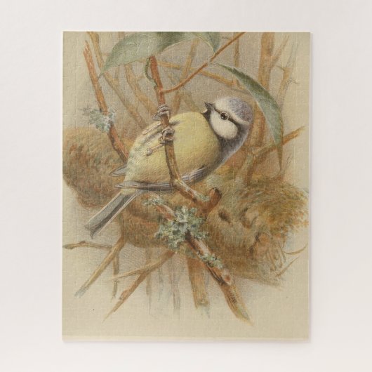 Puzzle Illustration vintage de Bluetit (Vertical)