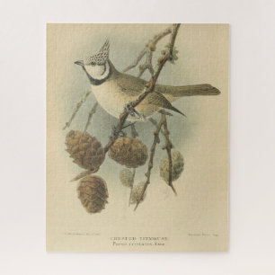 Puzzle Illustration vintage de l'European Crested Tit