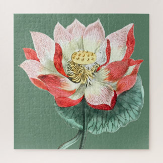 Puzzle Illustration Vintage de Nénuphar Art Spirituel