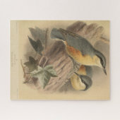 Puzzle Illustration vintage de Nuthatch (Horizontal)