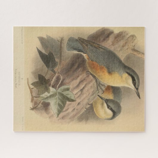 Puzzle Illustration vintage de Nuthatch (Horizontal)