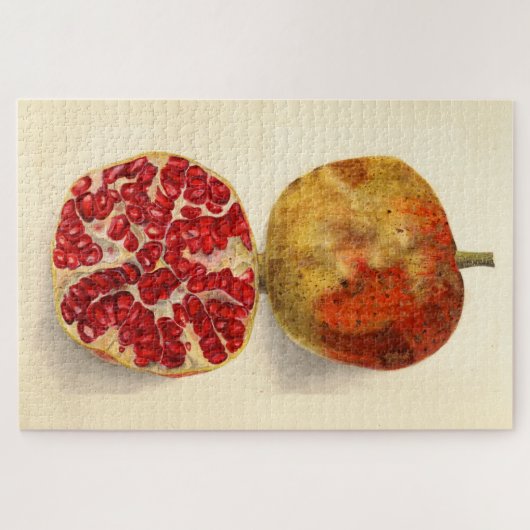 Puzzle Illustration vintage d'une grenade (Horizontal)