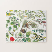 Puzzle Illustrations botaniques (Horizontal)