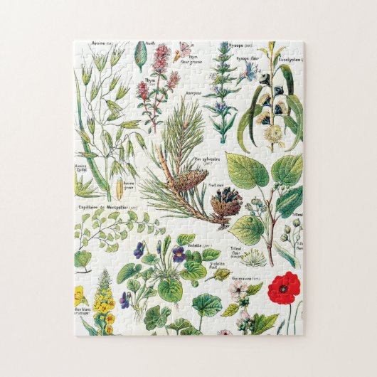 Puzzle Illustrations botaniques (Vertical)