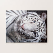 Puzzle Image de White Bengal Tiger (Horizontal)