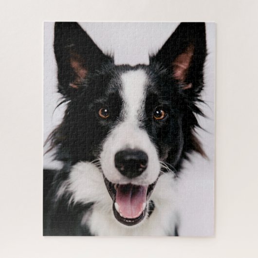 Puzzle Images de Getty | A border collie de sourire (Vertical)