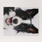 Puzzle Images de Getty | A border collie de sourire (Horizontal)
