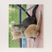 Puzzle Images de Getty | deux chatons sur un balcon (Vertical)