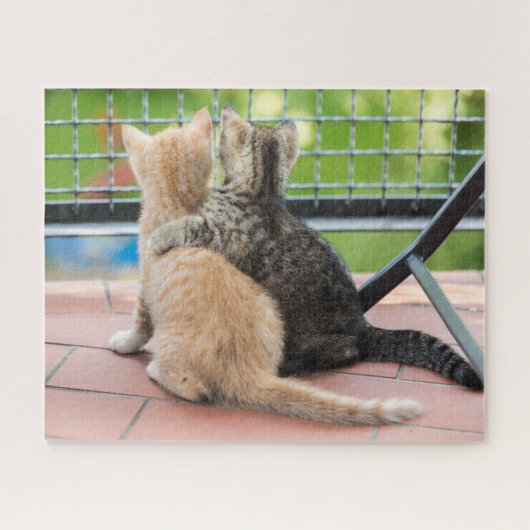 Puzzle Images de Getty | deux chatons sur un balcon (Horizontal)