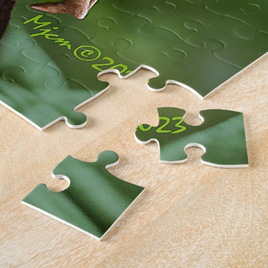 Puzzle Imaginaire Belle Fée Forêt (Côté)