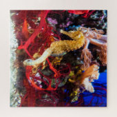 Puzzle Imaginaire Seahorse (Horizontal)