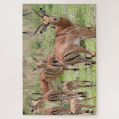 Puzzle Impala dans le delta de l'Okavango (Vertical)