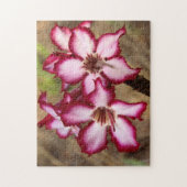 Puzzle Impala Lily (Adenium Multiflorum), Kruger (Vertical)