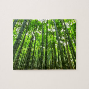 Puzzle Impossible - forêt de Bamboo