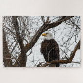 Puzzle Impossible - Haliaeetus (Horizontal)