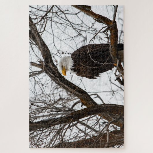 Puzzle Impossible - Haliaeetus (Vertical)