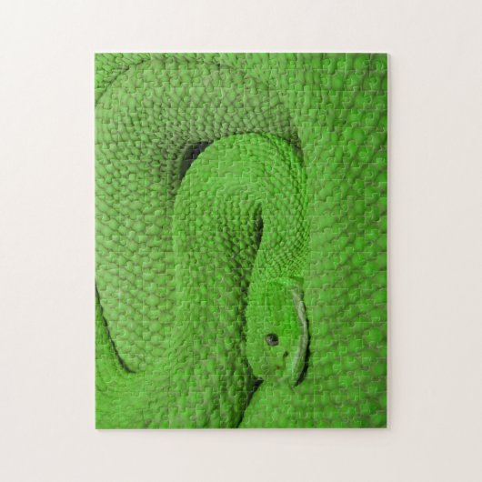 Puzzle impossible - Serpent vert (Vertical)