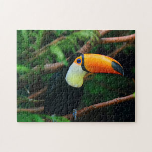 Puzzle Impossible - Toucan