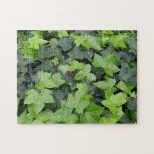 Puzzle Impression botanique verte Ivy