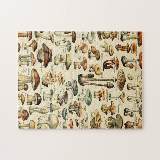 Puzzle Impression champignons vintages (Horizontal)