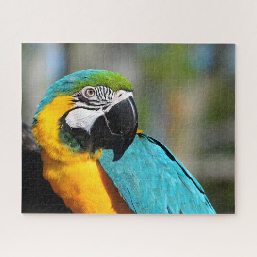 Puzzle Impression d'Ara, Papier Affiche de Valeur (Mat) (Horizontal)