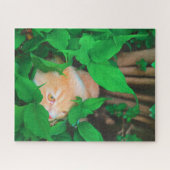 Puzzle Impression de phot du chat de point de vue mignon (Horizontal)