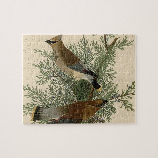 Puzzle Impression d'oiseau de John James Audubon Jaseur b (Horizontal)