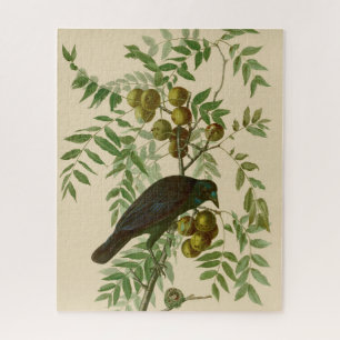 Puzzle Impression d'oiseau Grackle Violet d'Audubon Botan
