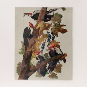 Puzzle Impression d'oiseau Pic à tête rouge de John James