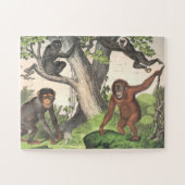 Puzzle Imprimer les anciens singes (Horizontal)