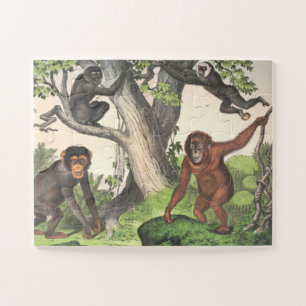 Puzzle Imprimer les anciens singes