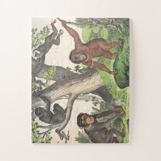 Puzzle Imprimer les anciens singes (Vertical)