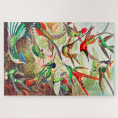 Puzzle Imprimerie de colibris 1904 (Horizontal)