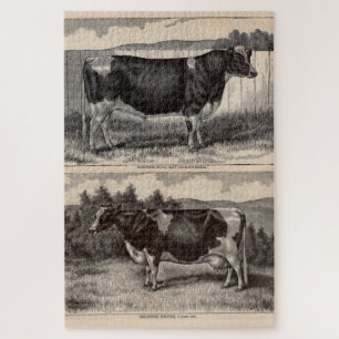 Puzzle Imprimerie du 19e siècle Holstein taureau et vache
